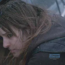L'amour au temps de la guerre civile