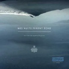Mes nuits feront écho