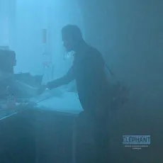 Dans la brume