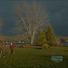 Everything Outside