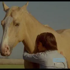 Fierro... l'été des secrets