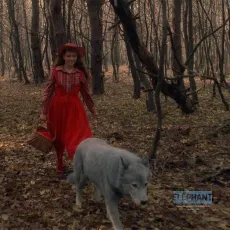 Bye bye chaperon rouge