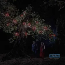 Bye bye chaperon rouge