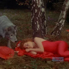 Bye bye chaperon rouge