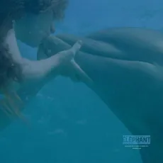 La grenouille et la baleine