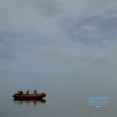 La grenouille et la baleine