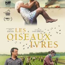 Les oiseaux ivres