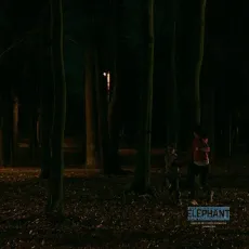 L'inhumain