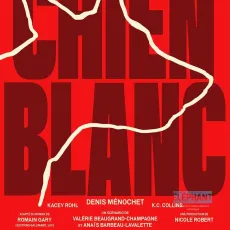 Chien blanc