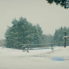 Snow Angel / La descente