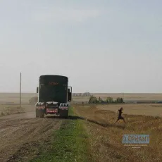 Rodéo