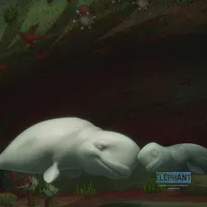Katak, le brave béluga