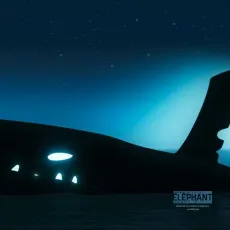 Katak, le brave béluga