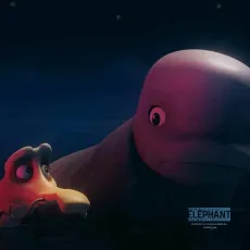 Katak, le brave béluga