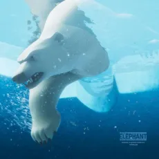Katak, le brave béluga