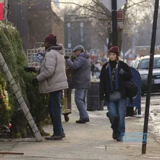 Sapin$