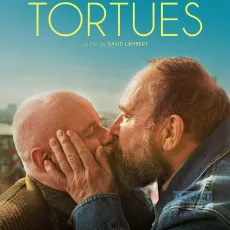 Les tortues