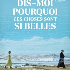 Dis-moi pourquoi ces choses sont si belles