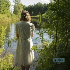 Dis-moi pourquoi ces choses sont si belles