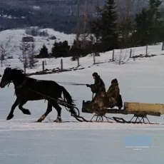 Mon oncle Antoine