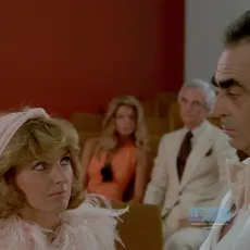 Les aventures d'une jeune veuve