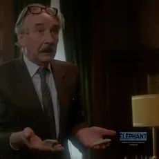 Le jeune magicien