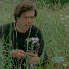 Les fleurs sauvages