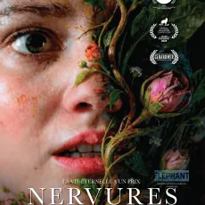 Nervures