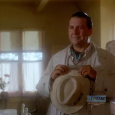 Les portes tournantes