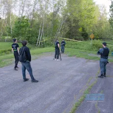 Murmures d'arbres
