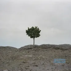 Le temps
